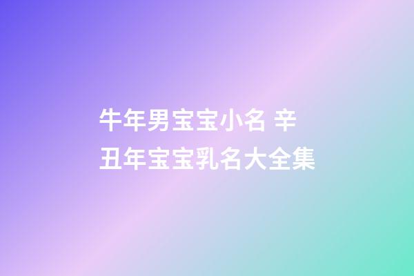 牛年男宝宝小名 辛丑年宝宝乳名大全集